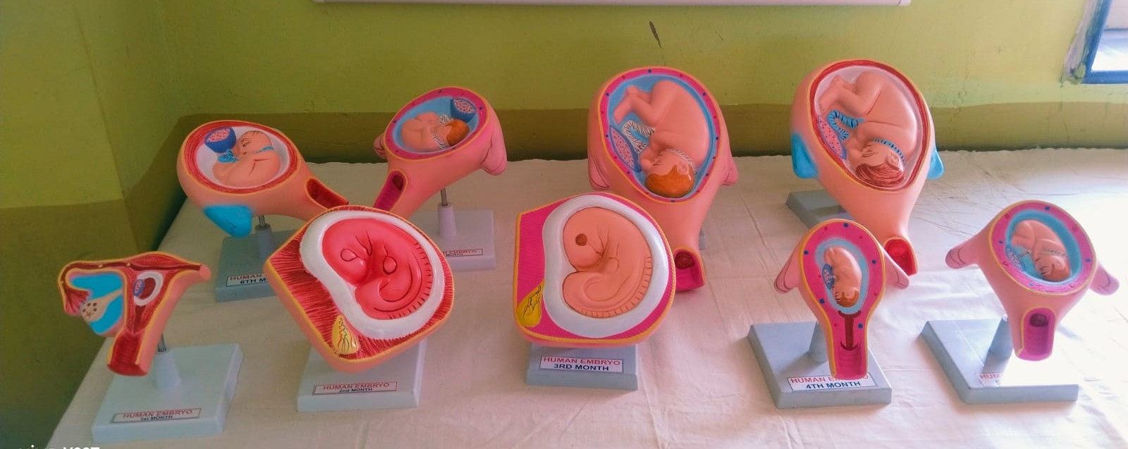 Maternal & Child Health Lab